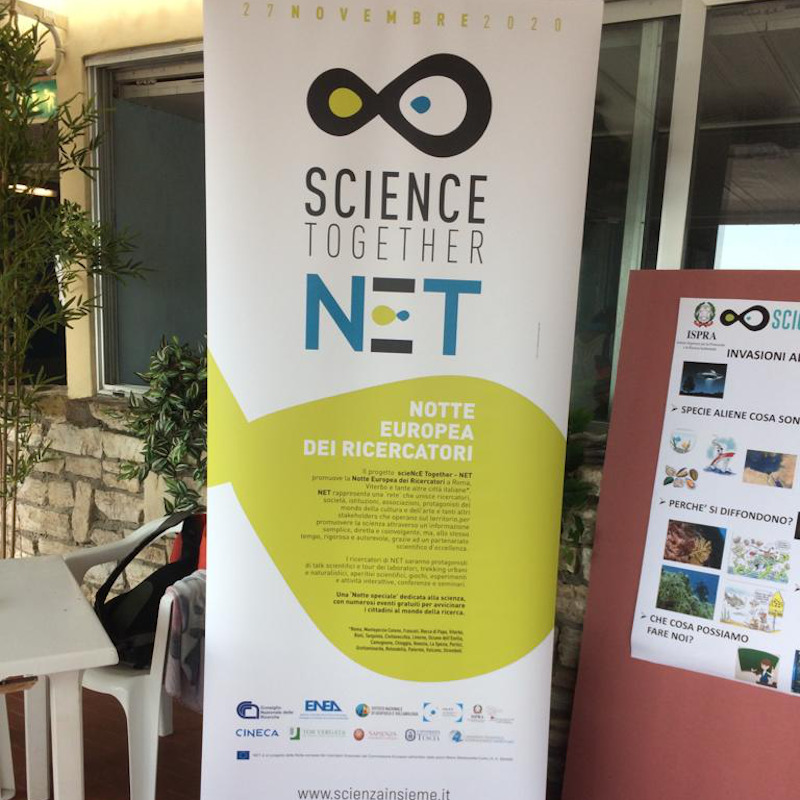 net_03-sq